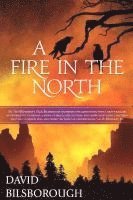 bokomslag A Fire in the North: Book 2 of the Annals of Lindormyn
