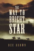 bokomslag The Way To Bright Star