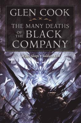 bokomslag The Many Deaths of the Black Company