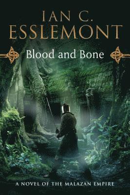 bokomslag Blood and Bone