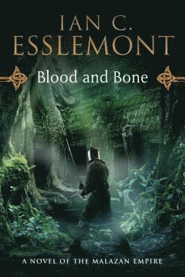 bokomslag Blood And Bone