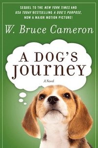 bokomslag Dog's Journey