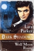 bokomslag Dark Shadows