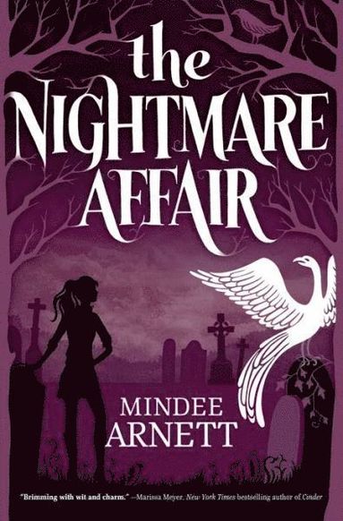 bokomslag Nightmare Affair