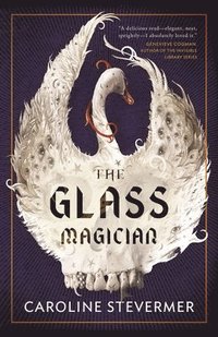 bokomslag Glass Magician