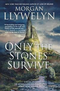 bokomslag Only the Stones Survive: A Novel of the Ancient Gods and Goddesses of Irish Myth and Legend