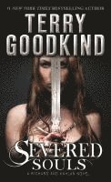 bokomslag Severed Souls: A Richard and Kahlan Novel