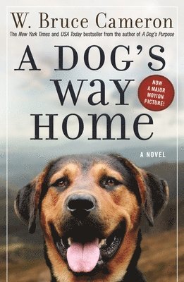 bokomslag A Dog's Way Home