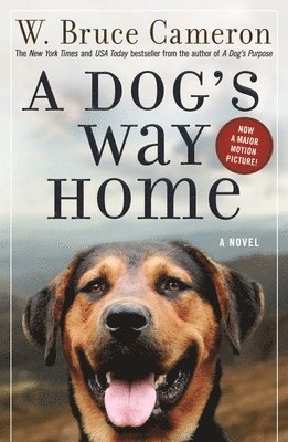 Dog's Way Home 1