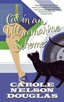 bokomslag Cat in an Ultramarine Scheme