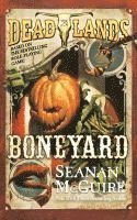 bokomslag Deadlands: Boneyard