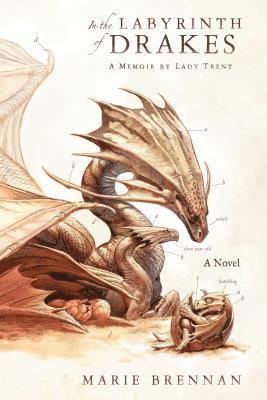 bokomslag In the Labyrinth of Drakes