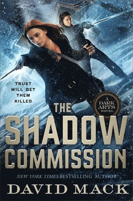 bokomslag The Shadow Commission