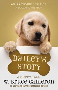bokomslag Bailey's Story