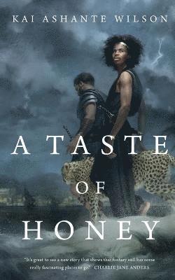 Kai Ashante Wilson, KAI ASHANTE WILSON - Taste of Honey, Häftad