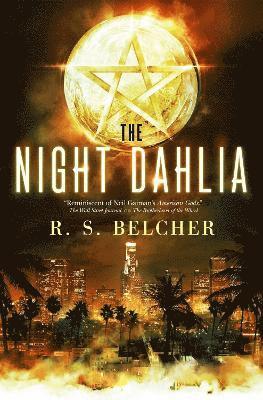 The Night Dahlia 1