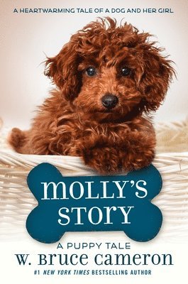 Molly's Story 1