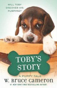 bokomslag Toby's Story