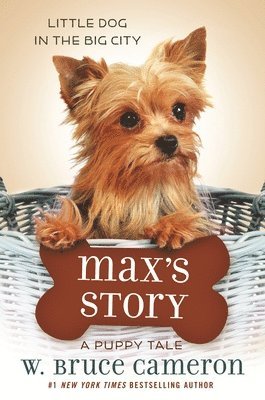 bokomslag Max's Story