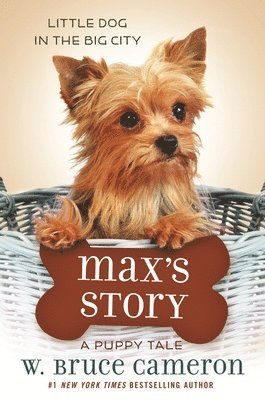 Max's Story 1
