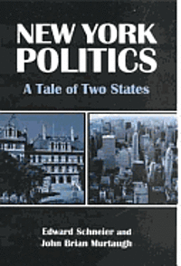 bokomslag New York Politics