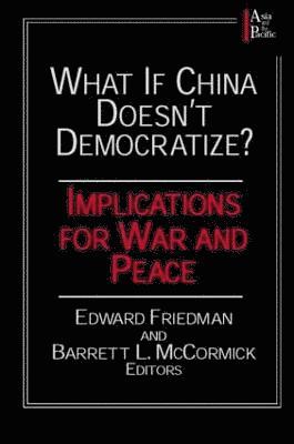 Edward Friedman, Barrett L. McCormick - What if China Doesn't Democratize?, Häftad
