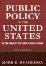 bokomslag Public Policy in the United States