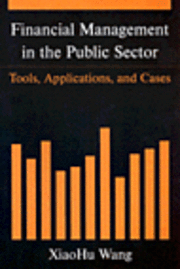 bokomslag Financial Management in the Public Sector