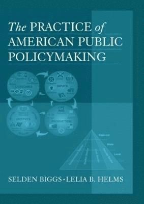 The Practice of American Public Policymaking 1