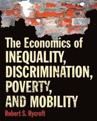 bokomslag The Economics of Inequality, Discrimination, Poverty, and Mobility