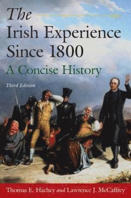 bokomslag The Irish Experience Since 1800: A Concise History