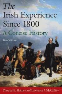 bokomslag The Irish Experience Since 1800: A Concise History