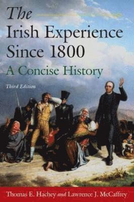 bokomslag The Irish Experience Since 1800: A Concise History
