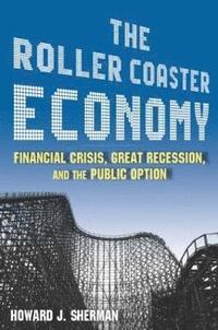 bokomslag The Roller Coaster Economy
