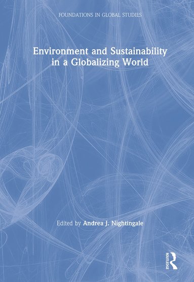 bokomslag Environment and Sustainability in a Globalizing World