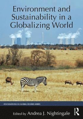 bokomslag Environment and Sustainability in a Globalizing World