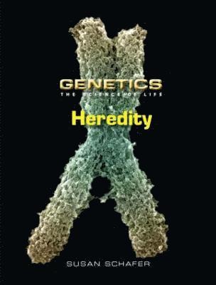 Heredity 1