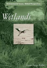 bokomslag Wetlands