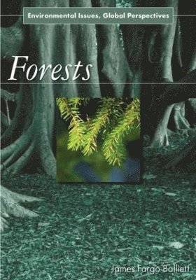Forests 1
