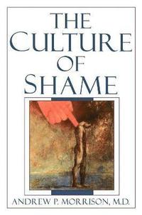 bokomslag The Culture of Shame
