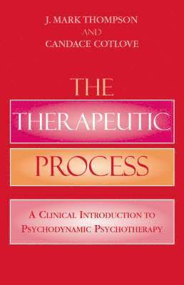 The Therapeutic Process 1