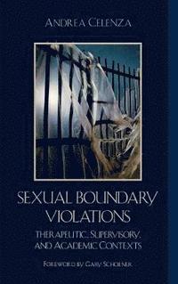 bokomslag Sexual Boundary Violations