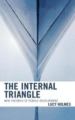 bokomslag The Internal Triangle