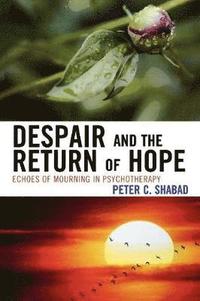 bokomslag Despair and the Return of Hope
