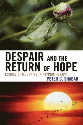 Despair and the Return of Hope 1