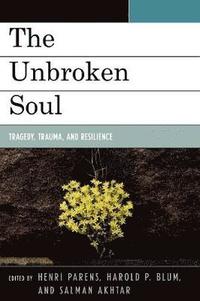bokomslag The Unbroken Soul