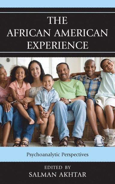 bokomslag African American Experience