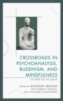 bokomslag Crossroads in Psychoanalysis, Buddhism, and Mindfulness