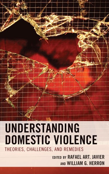 bokomslag Understanding Domestic Violence