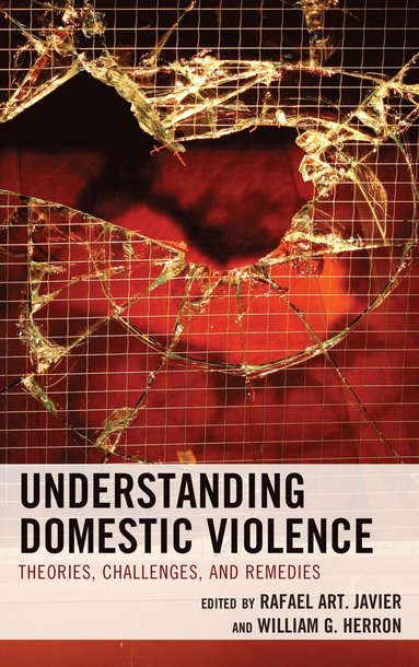 bokomslag Understanding Domestic Violence